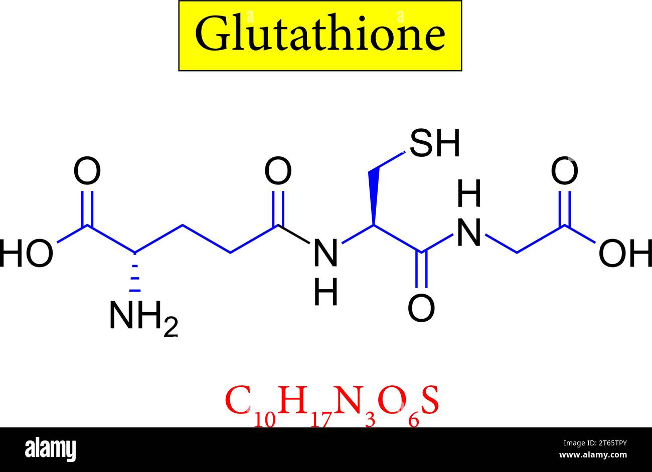 Structure du glutathion, formule .Illustration vectorielle Illustration de Vecteur