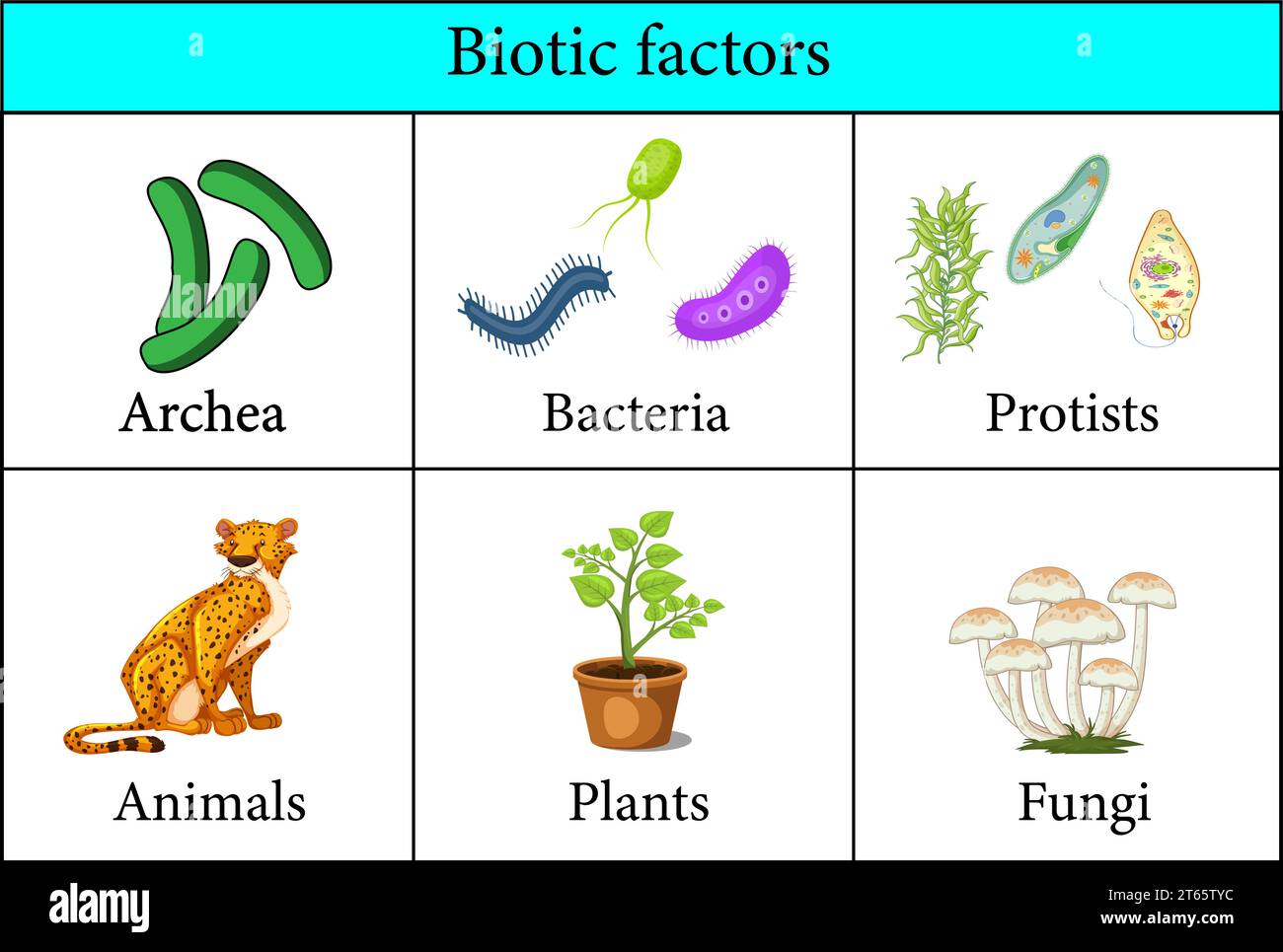 Exemples De Facteurs Biotiques