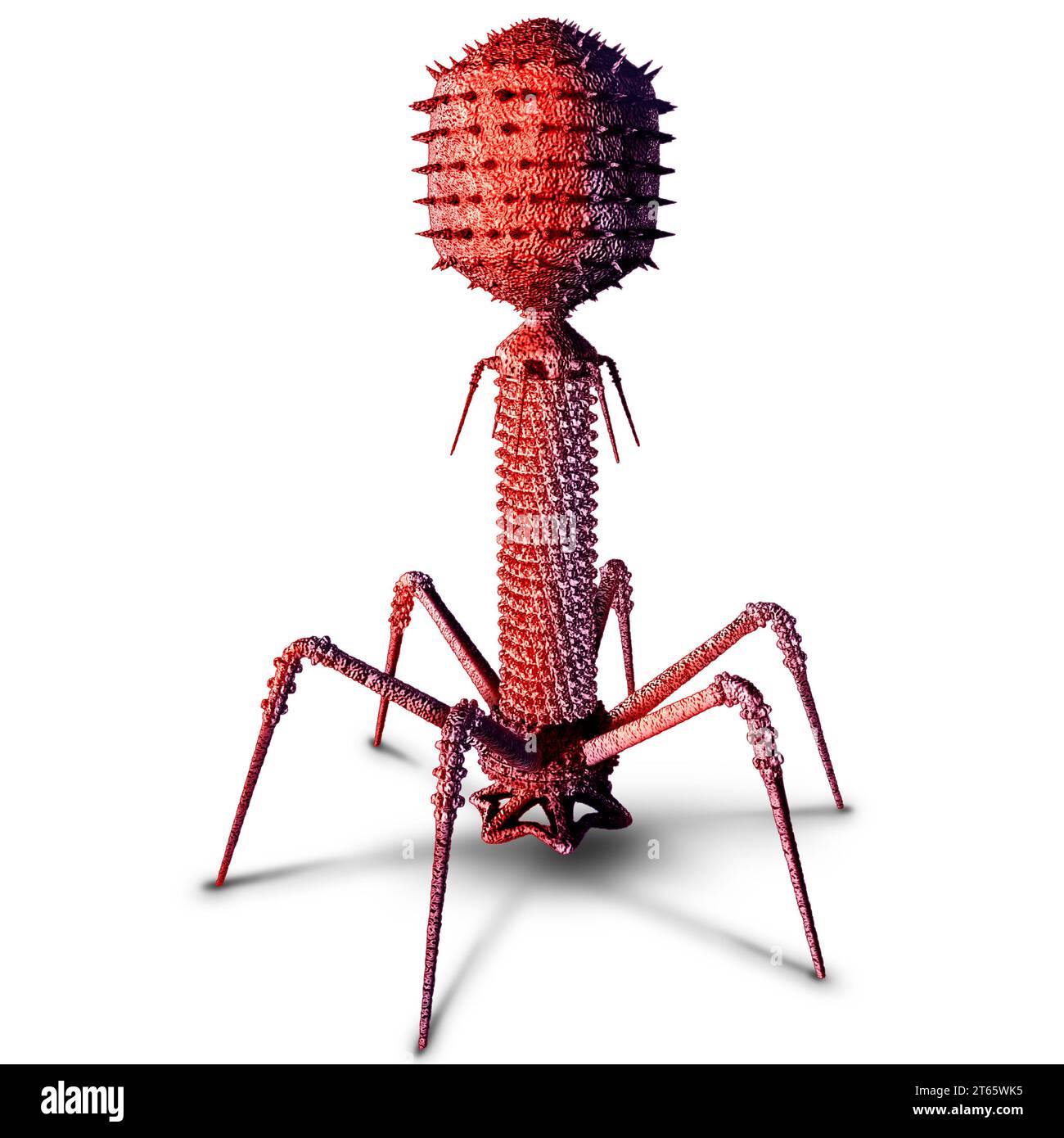 Phage et Bacteriopage en tant que virus qui infecte les bactéries en tant que symbole bactérien de virologie en tant que pathogène qui attaque les infections bactériennes. Banque D'Images