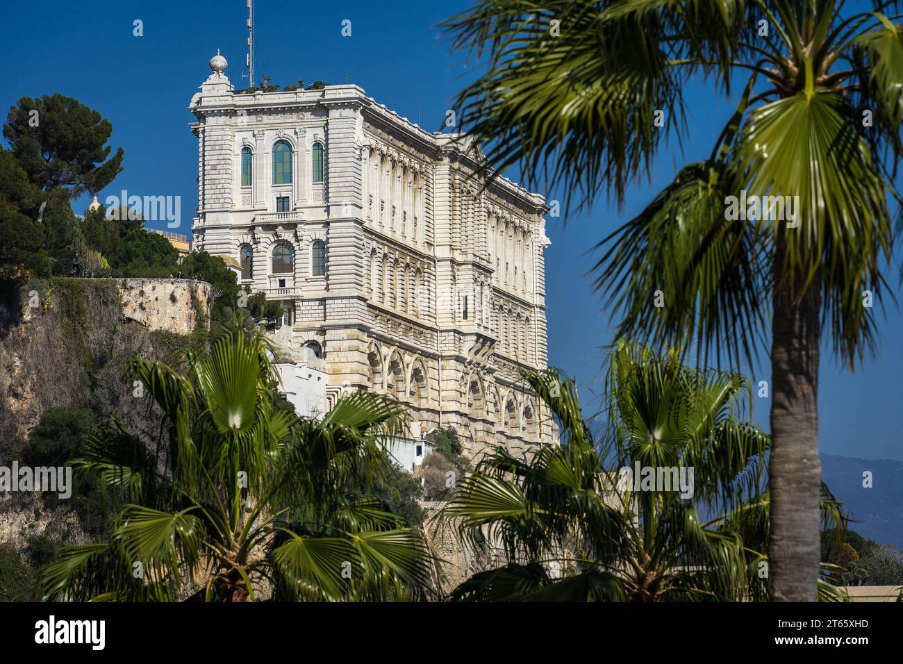 Monaco - février 15 2023 : vue côté mer du Musée de Océanographique Monaco, avec des palmiers au premier plan Banque D'Images