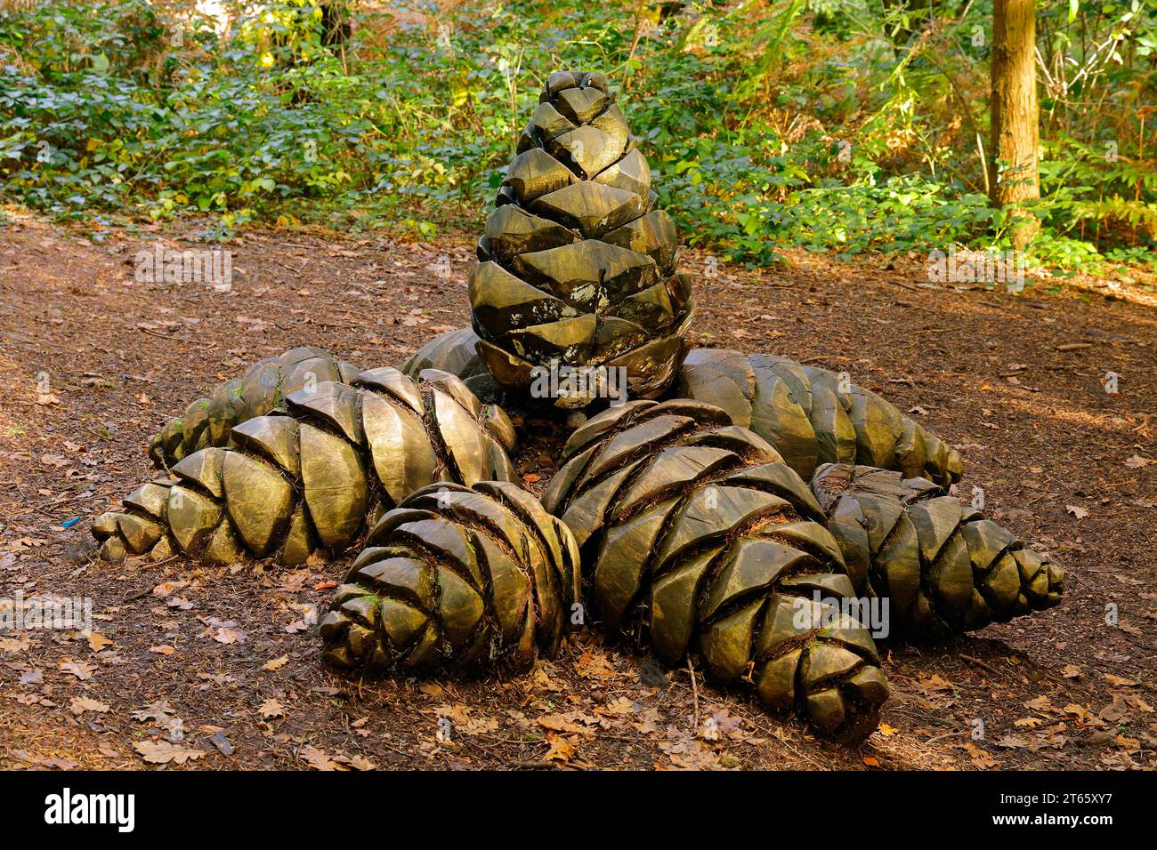 Installation / sculpture de cône de sapin géant. Scène d'automne au Parc Cefn Onn,/ Cefn Onn Country Park, Lisvane, près de Cardiff. Prise en novembre 2023 Banque D'Images