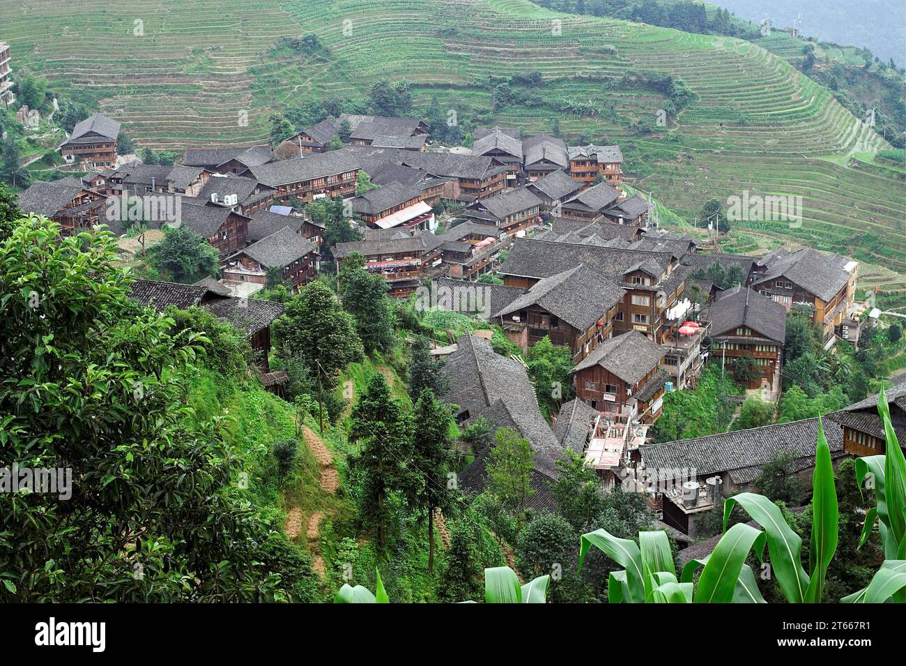 龙胜镇 (龙胜县?) 中國 Longsheng Rice Terraces, Longji Ping'an Zhuang, Chine ; Un village chinois parmi les rizières sur les collines ; 田んぼに囲まれた中国の村 稻田間的中國村莊 Banque D'Images