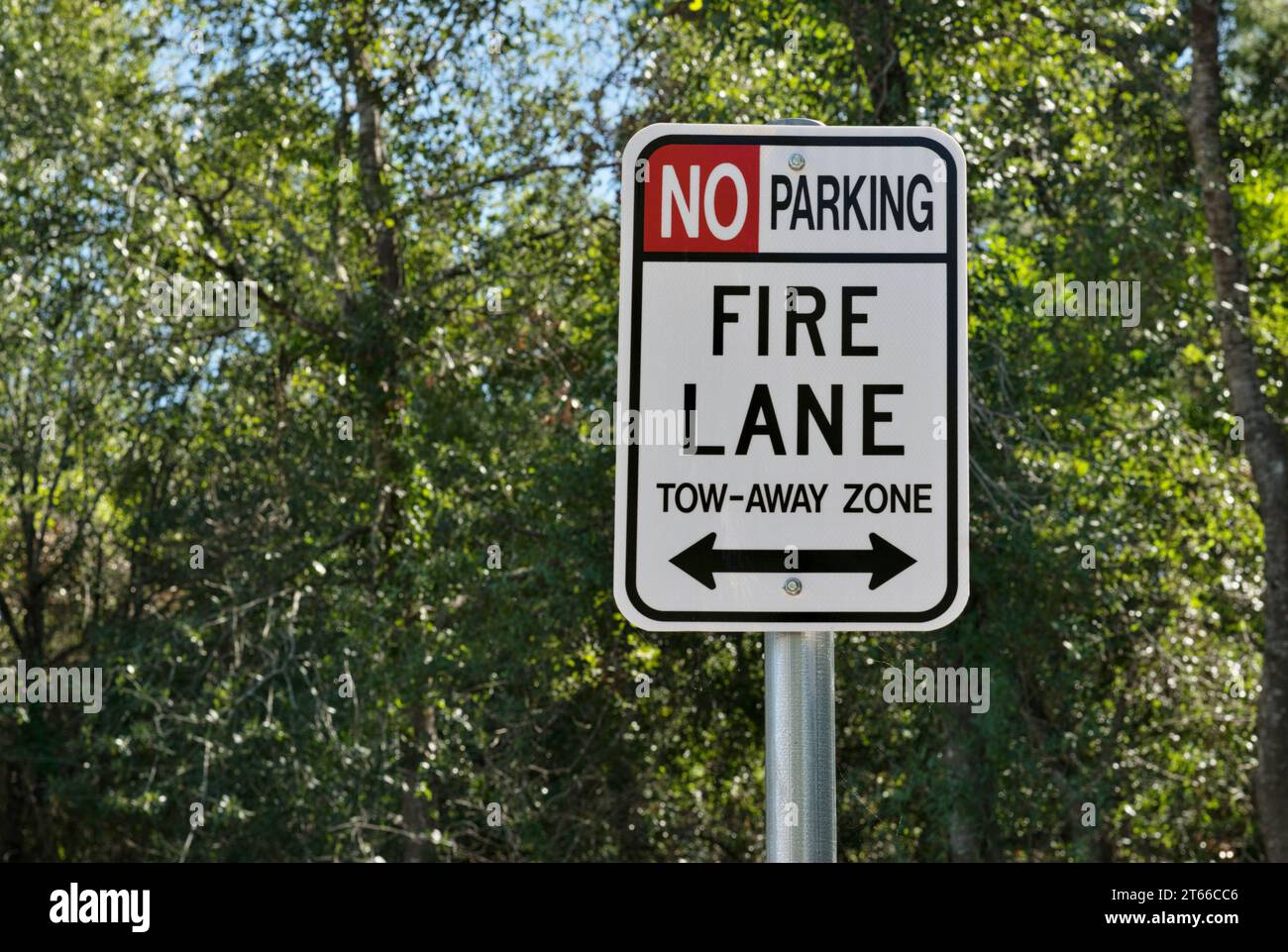 Fire Lane et aucun panneau de stationnement fermé isolé avec une toile de fond de canopée d'arbres et espace de copie. Banque D'Images