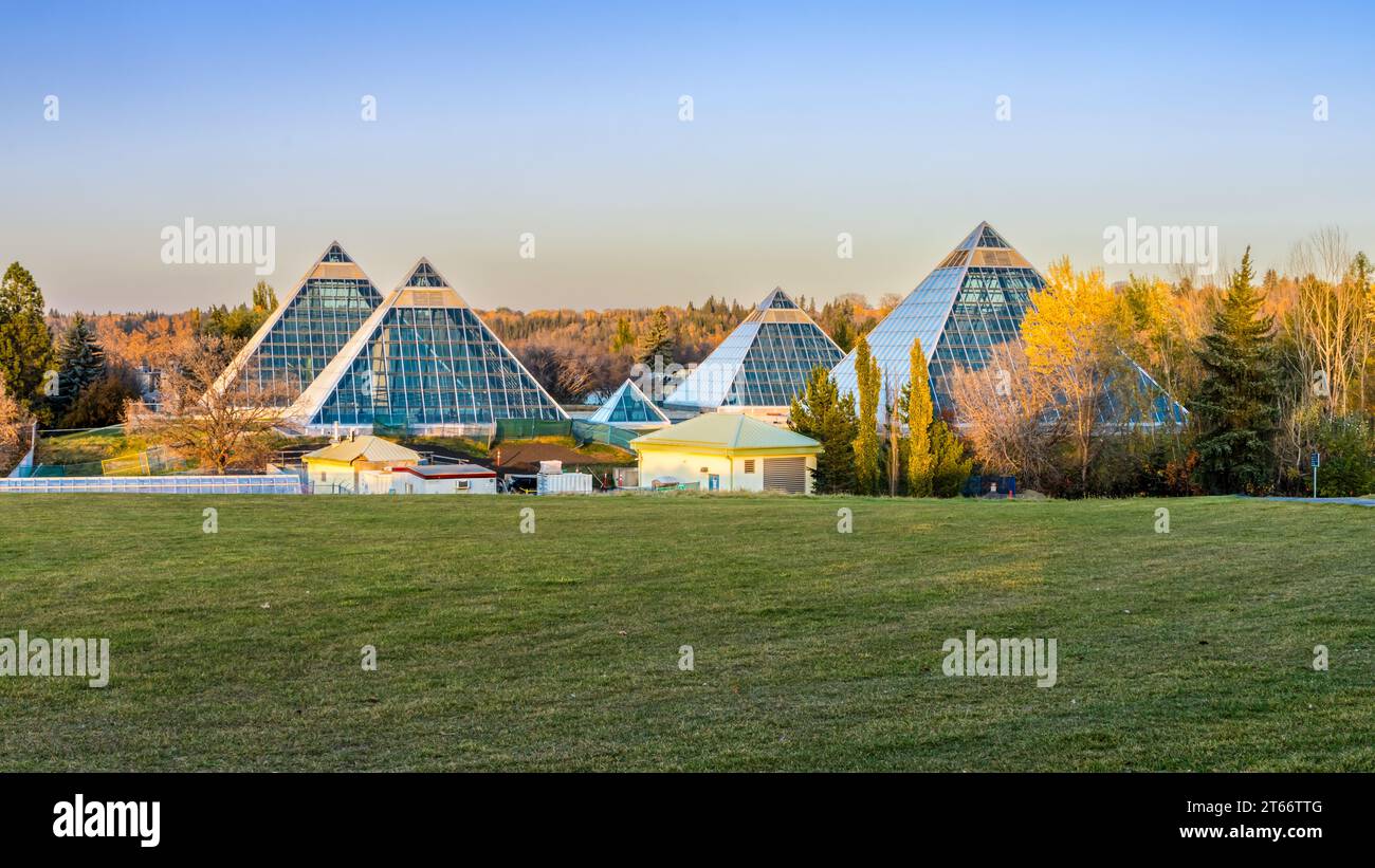 Paysage d'Edmonton avec les pyramides de verre du Muttart Conservatory à l'automne Banque D'Images