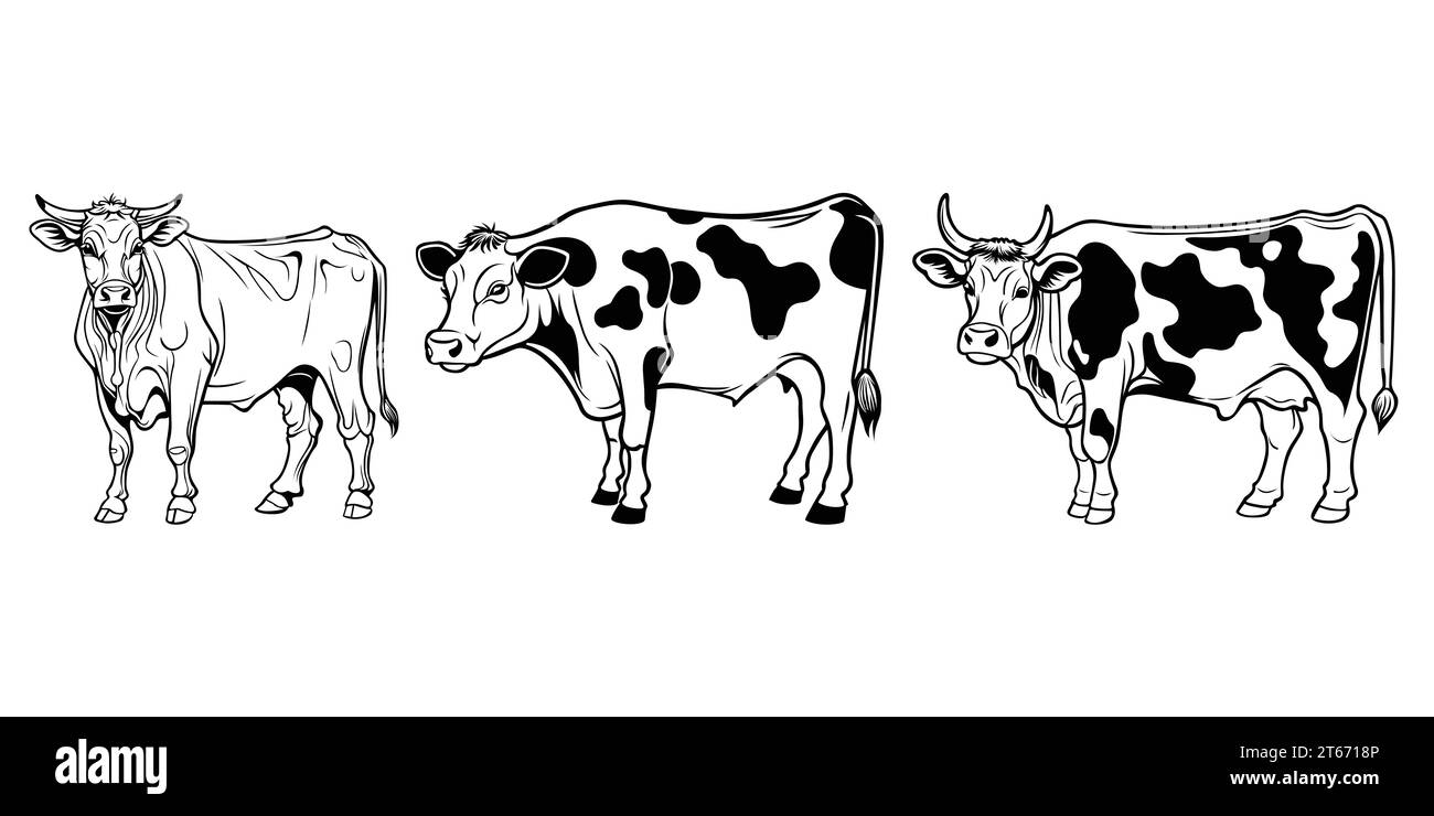 Dessin à la main, plat, dessin vectoriel de contour de vache Illustration de Vecteur