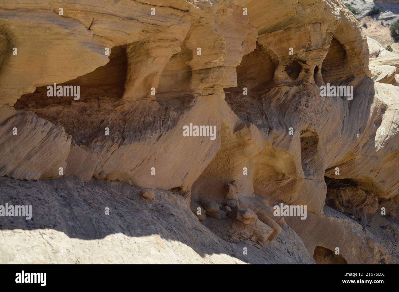 Les parois rocheuses escarpées d'un canyon de l'Utah montrent les effets des intempéries alors que les poches, les trous et les petites grottes s'érodent en grès dans la région des four Corners. Banque D'Images