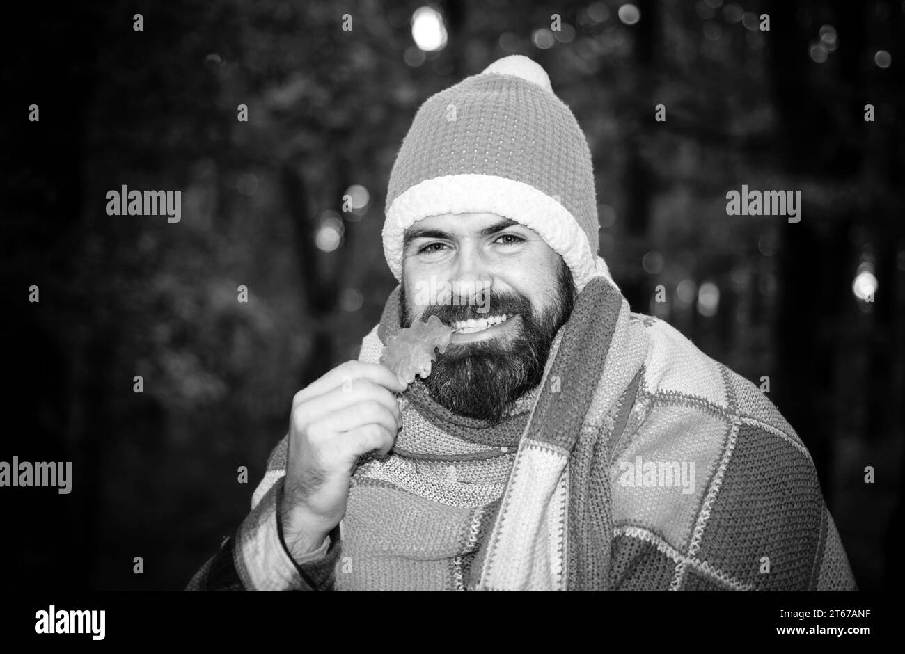 Un homme taille basse portant un bonnet orange tricoté et un confortable motif écossais chaud. Homme heureux dans l'humeur automnale au fond des arbres. Homme barbu souriant tient le chêne d'automne Banque D'Images