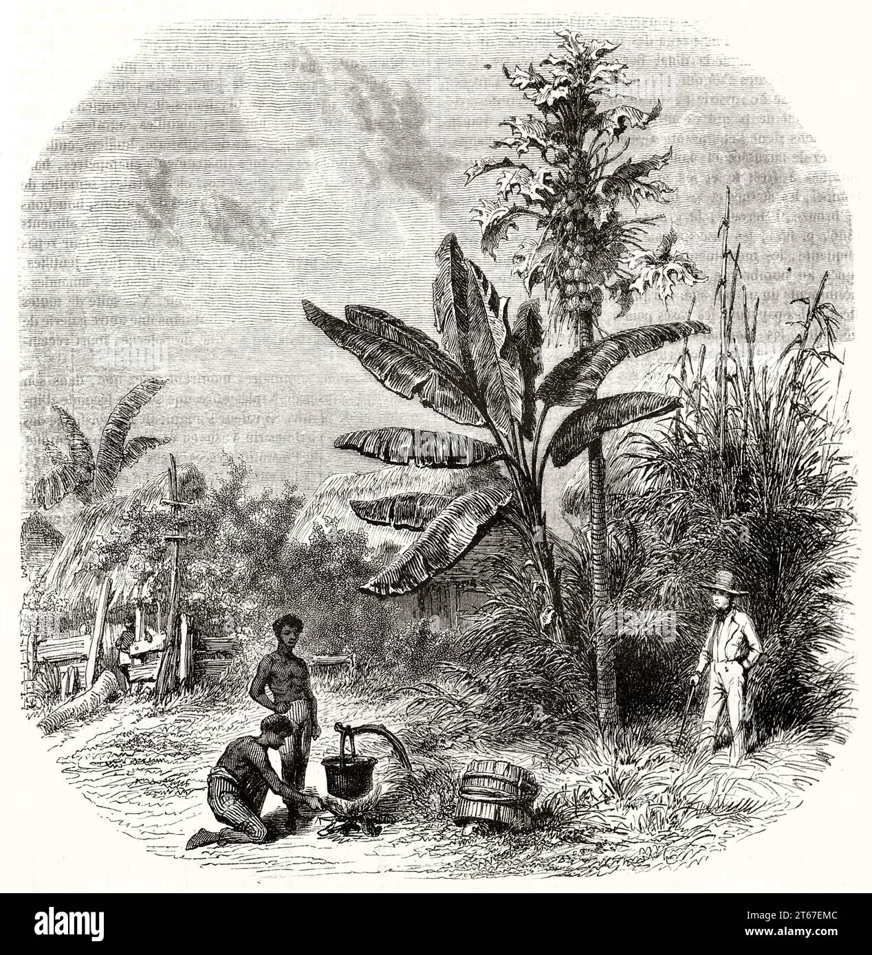 Illustration ancienne de la vie en Guadeloupe, Iles sous le vent. Par Girardet d'après Bendemann, publ. Sur magasin pittoresque, Paris, 1851 Banque D'Images