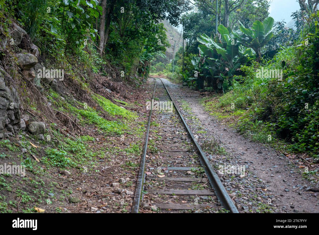 virage de voie de chemin de fer vide dans la forêt tropicale Banque D'Images