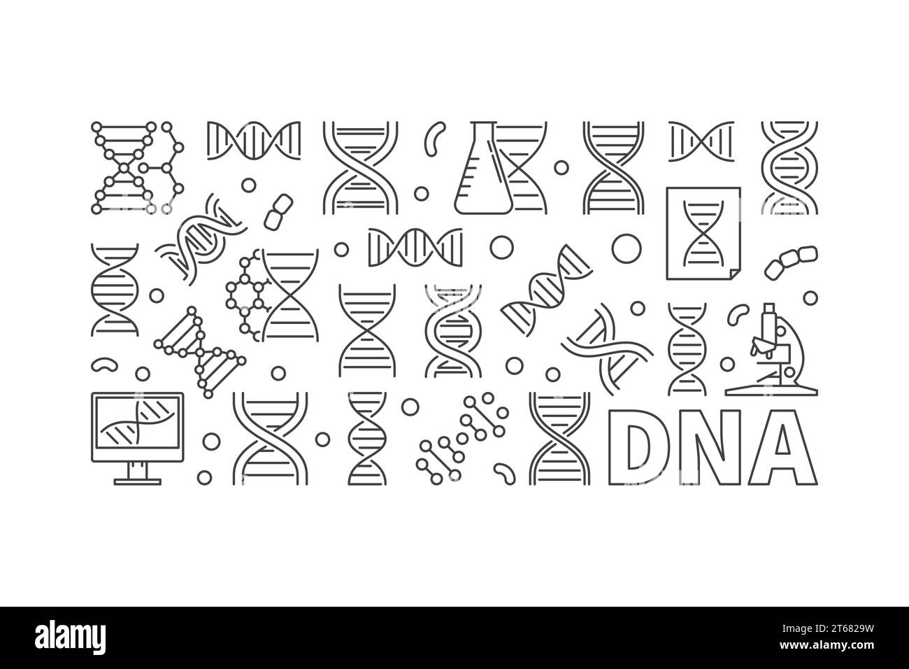 Bannière horizontale d'ADN vectoriel. Illustration linéaire du concept d'acide désoxyribonucléique Illustration de Vecteur