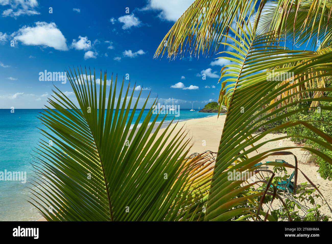 Une plage de sable tropical avec la mer turquoise des Caraïbes sur l'île d'Antigua. Banque D'Images