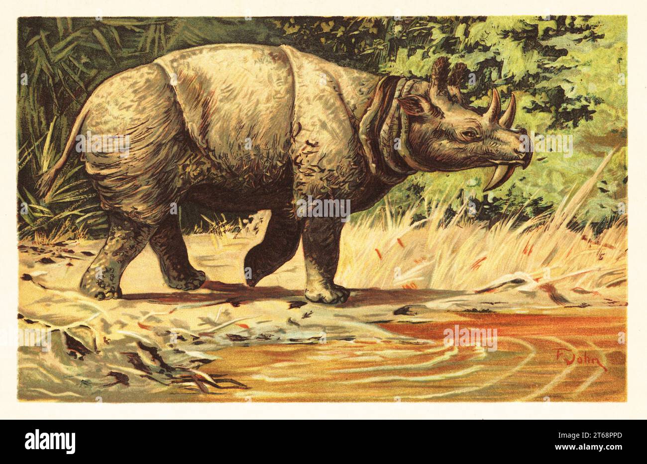 Uintatherium anceps, mammifère herbivore éteint de l'Éocène. Bête des montagnes Uinta, ordre de Dinocerata (terribles cornes). Dinoceras (Schreckhorn). Illustration imprimée en couleur par F. John de Wilhelm Bolsches Tiere der Urwelt (animaux du monde préhistorique), Reichardt Cocoa Company, Hambourg, 1908. Banque D'Images