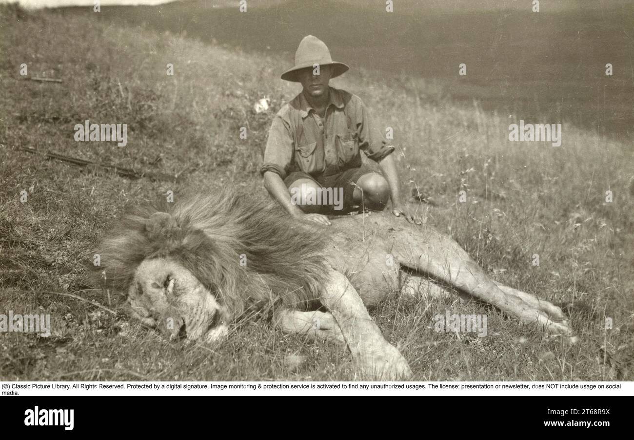 Bror von Blixen-Finecke , 1886-1946 baron suédois, écrivain et chasseur de gros gibier africain. Marié à sa cousine danoise Karen Blixen photographiée avec un lion tiré dans les années 1920 Banque D'Images