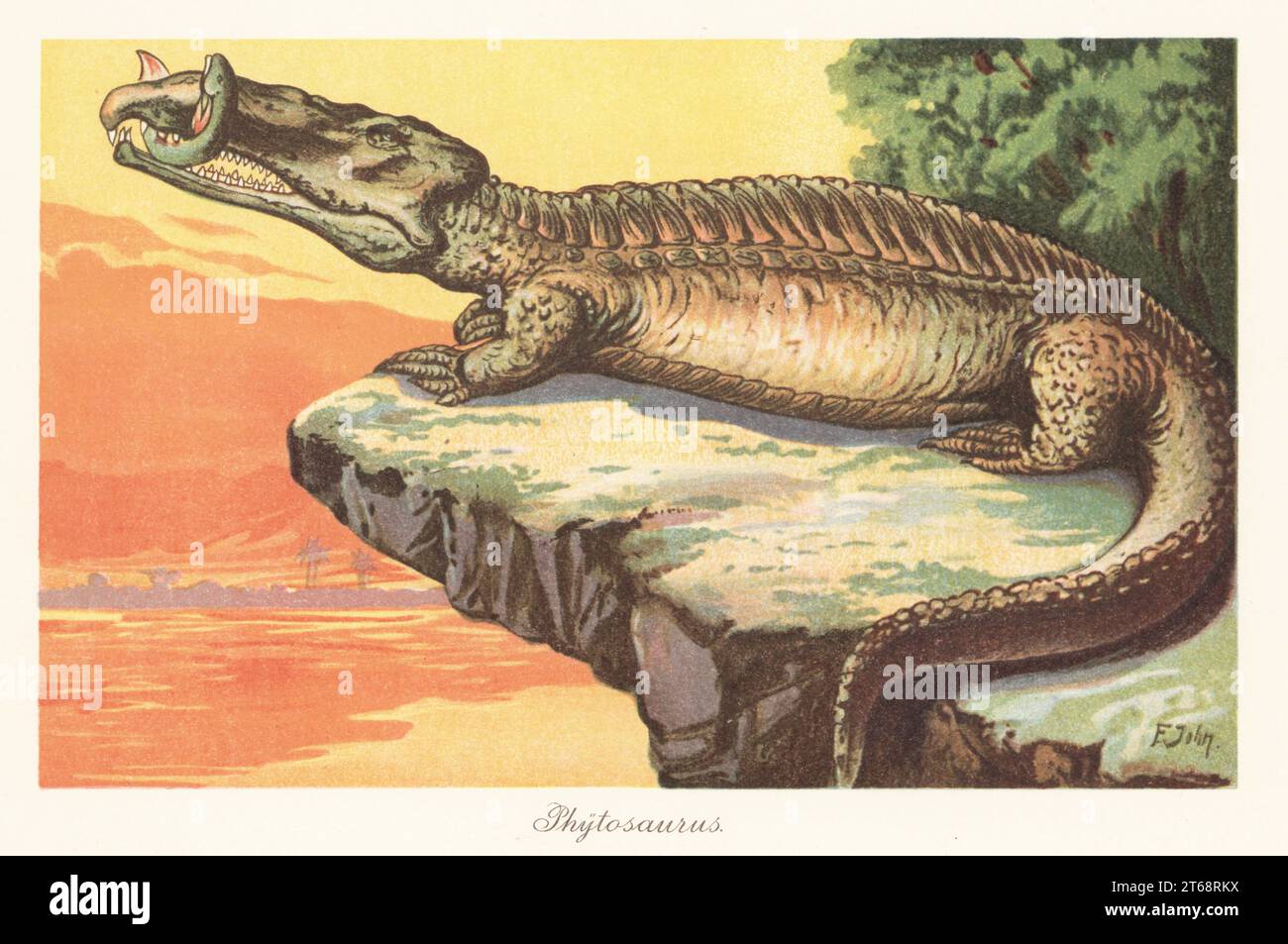 Reconstruction d'un phytosaure, Nicrosaurus kapffi, du Trias tardif. Krokodil, Belodon kapffii. Il tient une lungfish a Ceratodus dans ses mâchoires. Phytosaurus. Illustration imprimée en couleur par F. John de Wilhelm Bolsches Tiere der Urwelt (animaux du monde préhistorique), Reichardt Cocoa Company, Hambourg, 1908. Banque D'Images