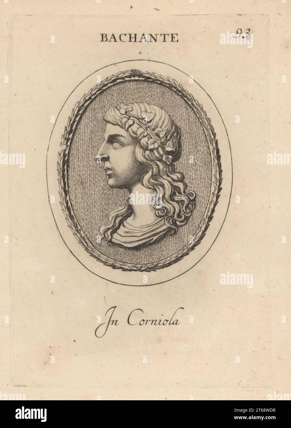 Buste d'une Bacchante portant une bande de feuilles de lierre dans ses cheveux. En carnélien. Bachante. À corniola. Gravure de coperplate par Giovanni Battista Galestuzzi d'après Leonardo Agostini de gemmae et Sculpturae Antiquae Depitti ab Leonardo Augustino Senesi, Abraham Blooteling, Amsterdam, 1685. Banque D'Images