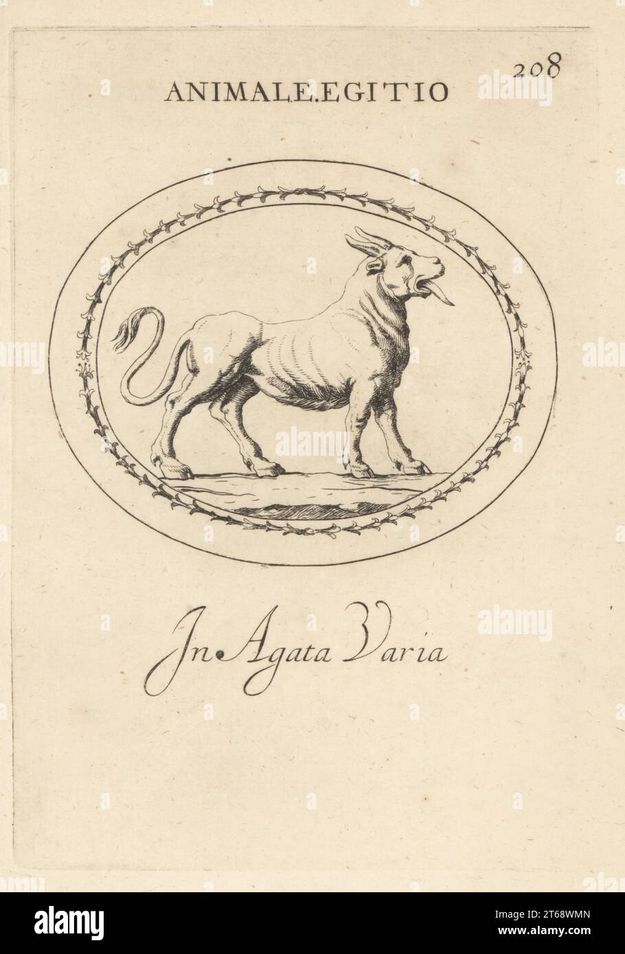 Chimère égyptienne en agate variable. Un animal hybride avec des parties de taureau et de lion. Le taureau était le symbole du dieu égyptien APIS ou Ptah, le lion Osiris. Animale egitio dans agata varia. Gravure de coperplate par Giovanni Battista Galestuzzi d'après Leonardo Agostini de gemmae et Sculpturae Antiquae Depitti ab Leonardo Augustino Senesi, Abraham Blooteling, Amsterdam, 1685. Banque D'Images
