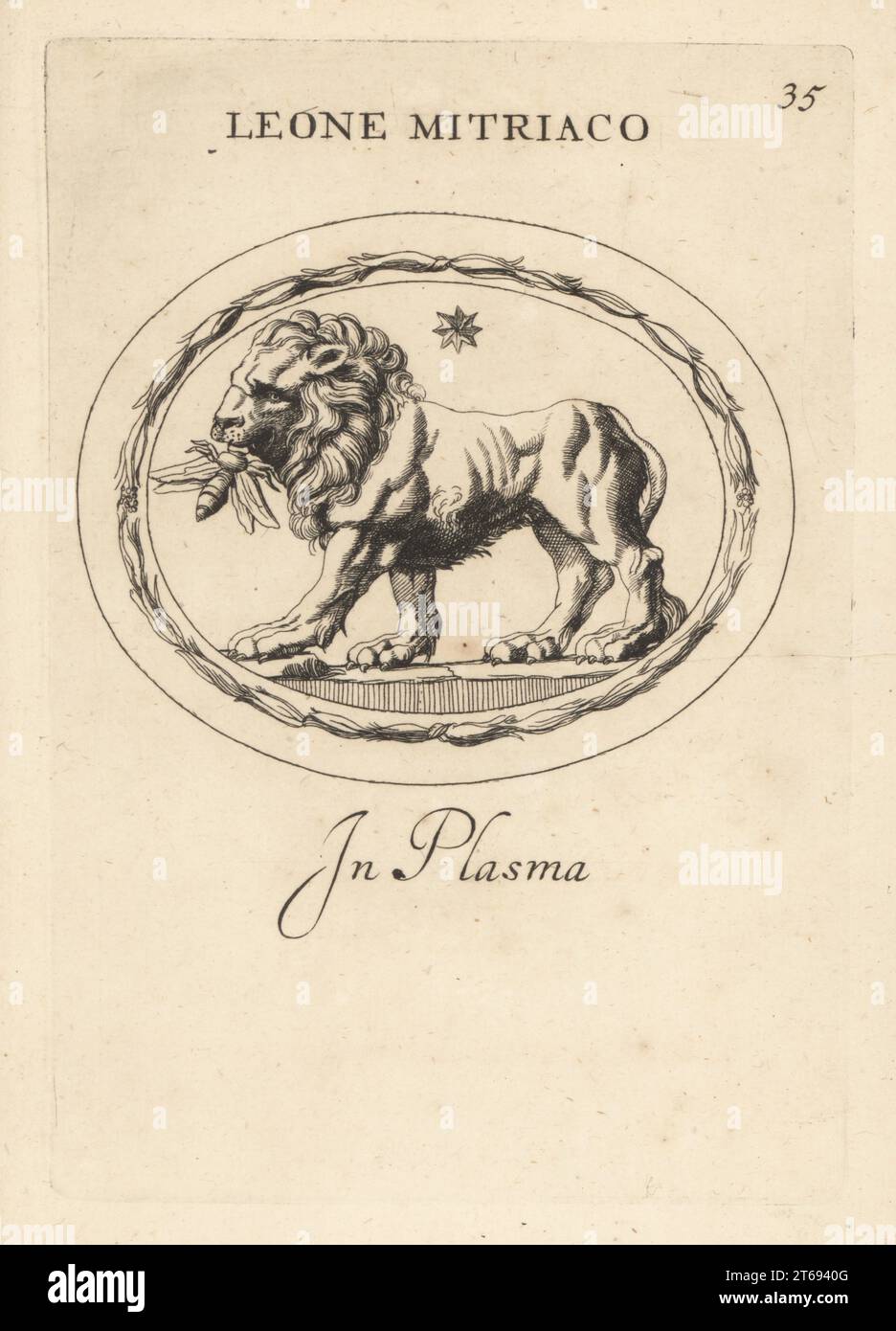 Lion de Mithras avec une abeille dans sa bouche. Culte de Mithras, inspiré par le dieu du Soleil zoroastrien Mithra. De la forte est venu vers la douceur. Léone Mitriaco dans le plasma. Gravure de coperplate par Giovanni Battista Galestuzzi d'après Leonardo Agostini de gemmae et Sculpturae Antiquae Depitti ab Leonardo Augustino Senesi, Abraham Blooteling, Amsterdam, 1685. Banque D'Images