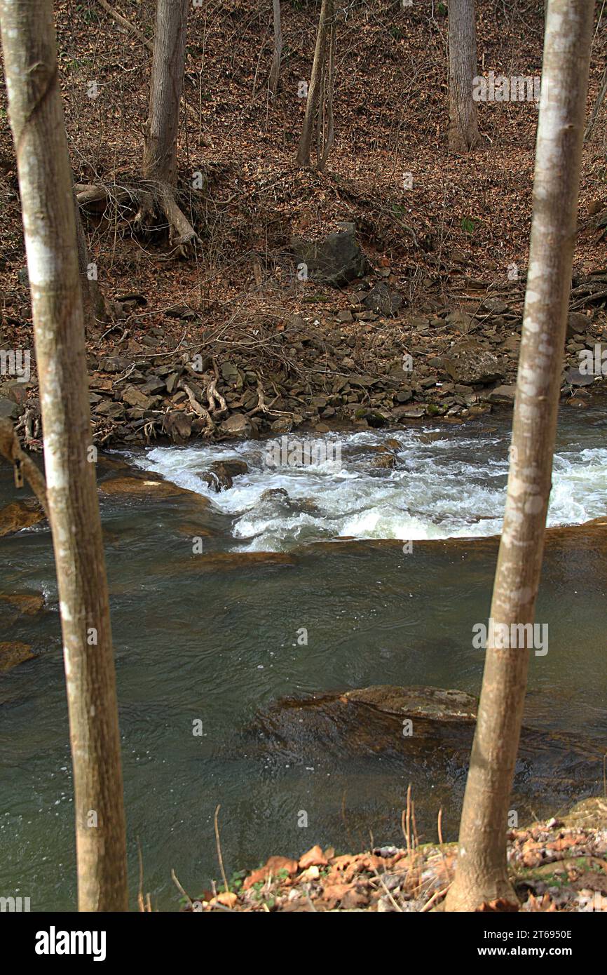 Blackwater Creek à Lynchburg, Virginie, États-Unis Banque D'Images