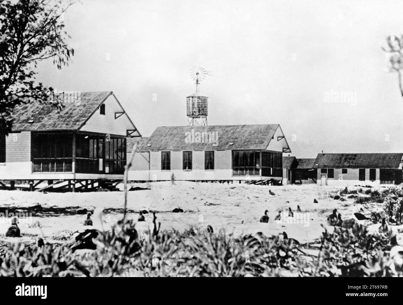 Maisons sur les îles Midway avant la guerre. Photographie non datée [traduction automatique] Banque D'Images