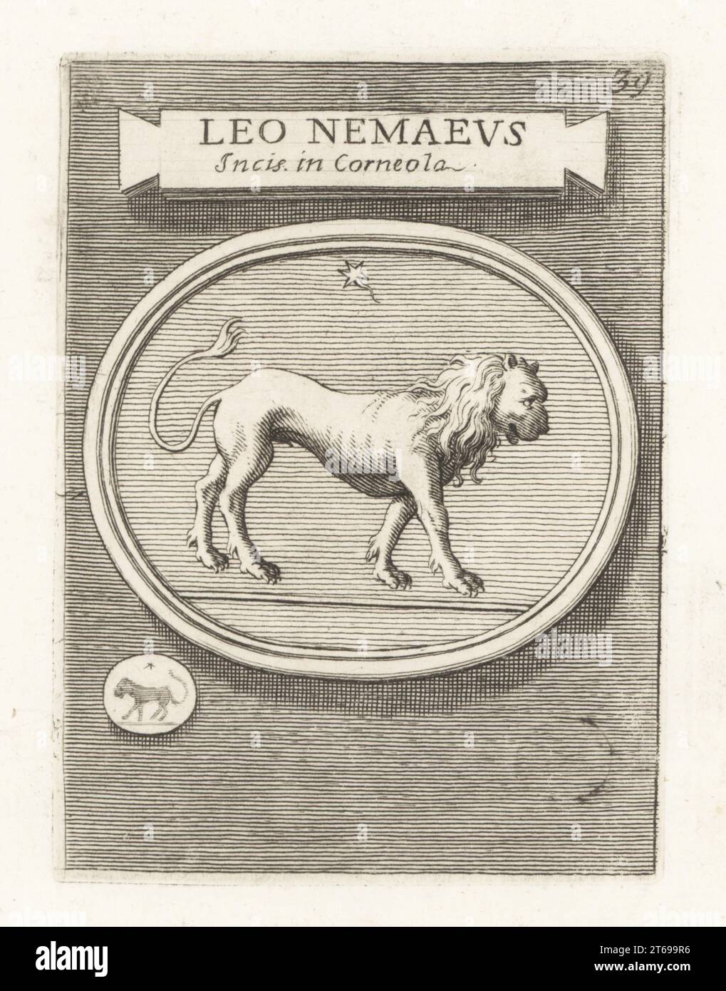 Le lion de Néméen tué par Héraclès dans la mythologie grecque. D'un bijou cornélien gravé. Leo Nemaeus Incis. A Corneola. Gravure sur cuivre de Francesco Valesio, Antonio Gori et Ridolfino Venutis Academia Etrusca, Musée Cortonense in quo Vetera Monumenta, (Académie étrusque ou Musée de Cortona), Faustus Amideus, Rome, 1750. Banque D'Images