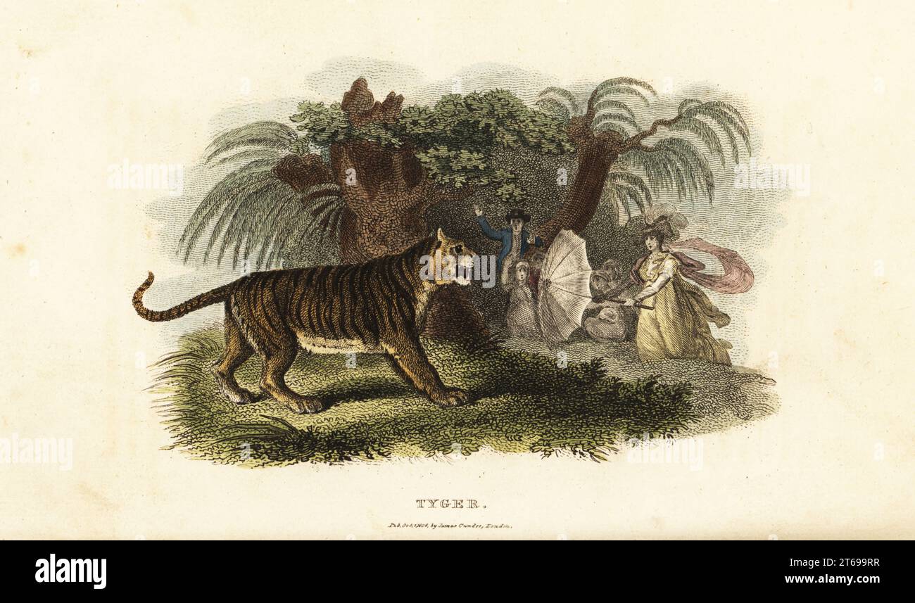 Un tigre, Panthera tigris, effrayé par une anglaise brandissant un parapluie. La famille coloniale anglaise repose sous un arbre près d'une rivière au Bengale, en Inde, vers 1800. Gravure sur cuivre colorée à la main du révérend Thomas Smiths The Naturalists Cabinet, or Interesting Sketches of Animal History, Albion Press, James Cundee, Londres, 1806. Smith, fl. 1803-1818, il a été écrivain et éditeur de livres sur l'histoire naturelle, la religion, la philosophie, l'histoire ancienne et l'astronomie. Banque D'Images