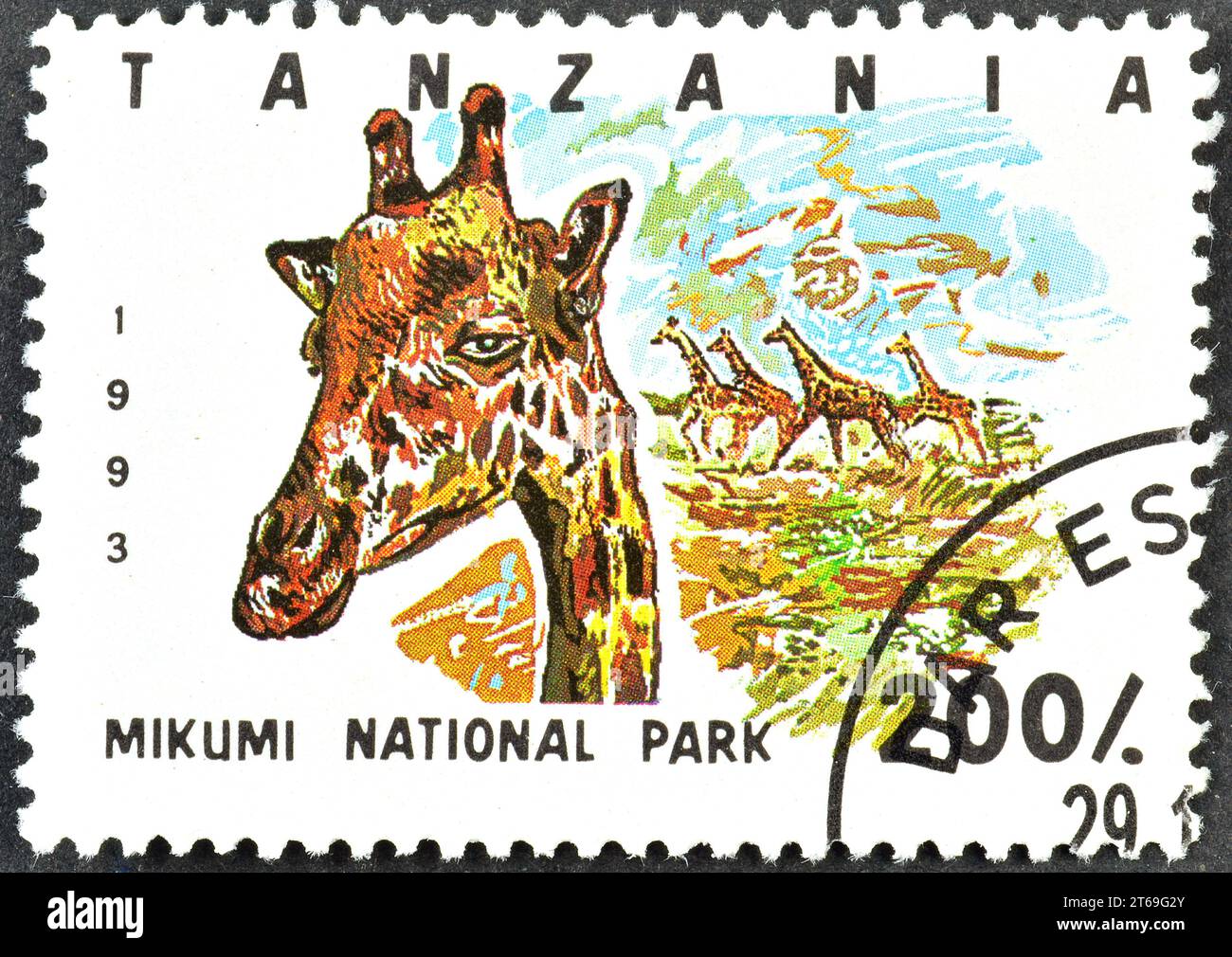 Timbre-poste annulé imprimé par la Tanzanie, montrant le parc national Mikumi, girafe (Giraffa camelopardalis), vers 1993. Banque D'Images