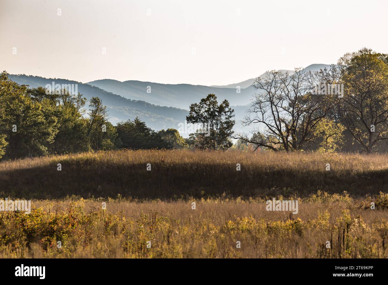 Brume d'automne tôt le matin dans les montagnes de Cades Cove, du côté Tennessee du parc national des Great Smoky Mountains Banque D'Images
