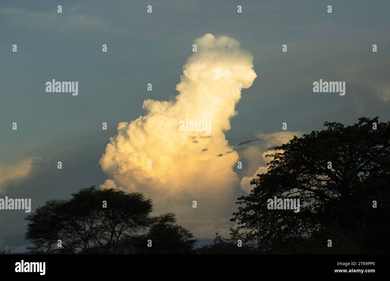 Un Cumulonimbus se développe au crépuscule. Le nuage imposant a une énergie énorme qui peut devenir très violente. Cela s'est transformé en tempête locale. Banque D'Images