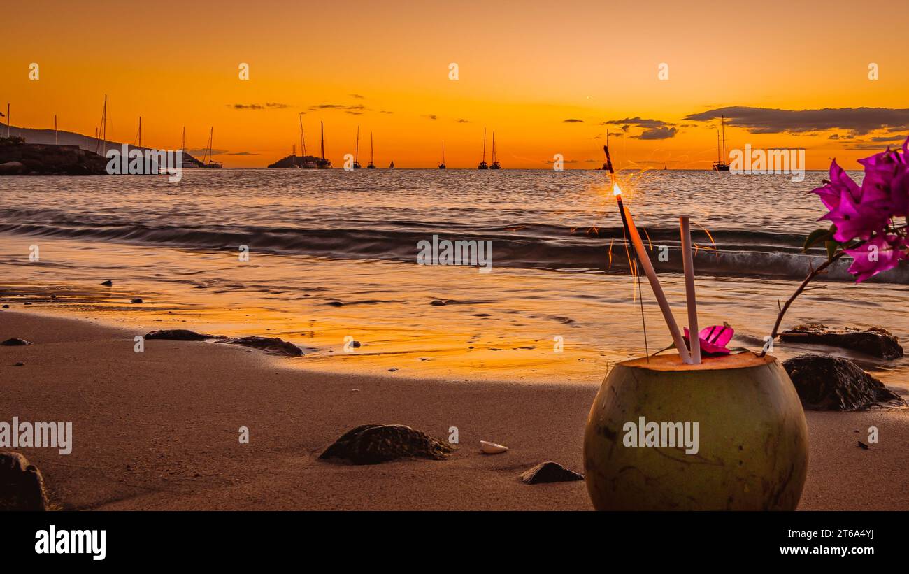 Noix de coco fraîche sur le sable au coucher du soleil en Martinique, Antilles françaises. Banque D'Images