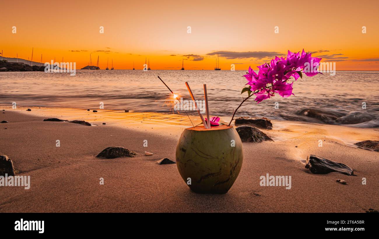 Noix de coco fraîche sur le sable au coucher du soleil en Martinique, Antilles françaises. Banque D'Images