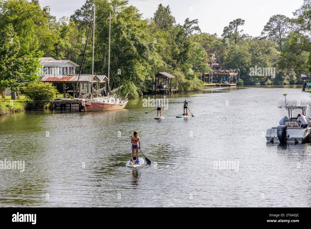 Des jeunes femmes font du paddleboard sur la rivière Magnolia à Magnolia Springs, Alabama Banque D'Images