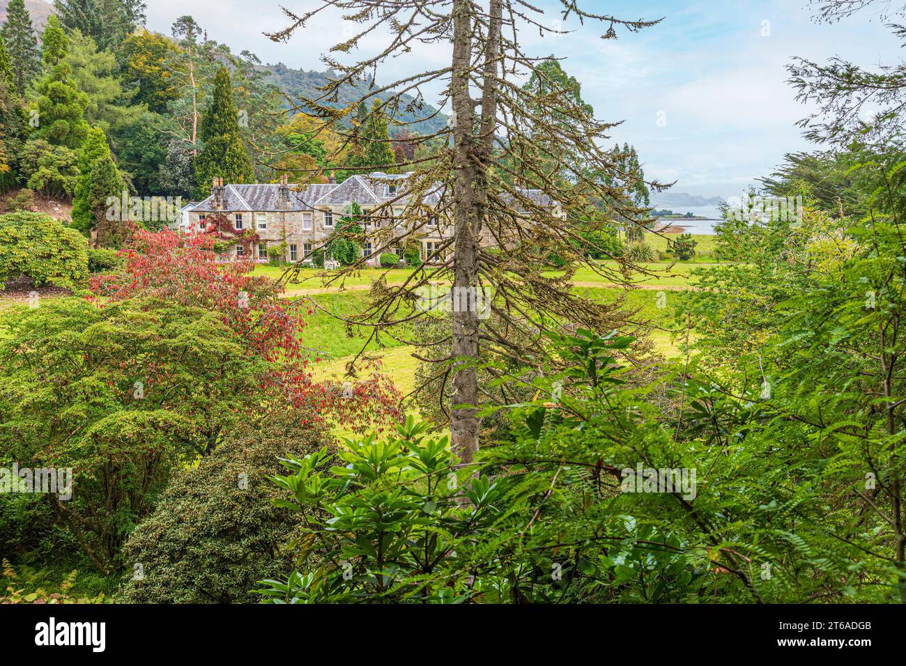 Crarae Gardens sur les rives du Loch Fyne, Argyll & Bute, Écosse Royaume-Uni Banque D'Images