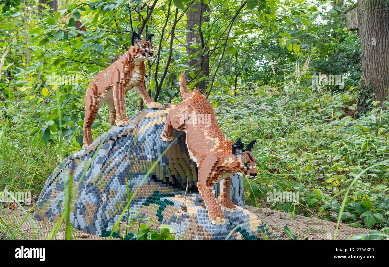 Zoo Planckendael, Malines, Belgique - 29 août 2023 : chats Caracal jouant sur la roche en blocs Lego. Brick Safari et Animal Expo. Banque D'Images