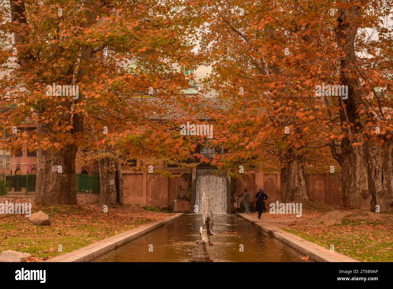 Srinagar, Inde. 09 novembre 2023. Les visiteurs se promènent dans un jardin lors d'une journée d'automne à Srinagar. L'automne, connu localement sous le nom de Harud, est une saison de récolte au Cachemire avec des arbres changeant de couleur tandis que les heures de lumière du jour deviennent plus courtes à l'approche de l'hiver. (Photo Saqib Majeed/SOPA Images/Sipa USA) crédit : SIPA USA/Alamy Live News Banque D'Images