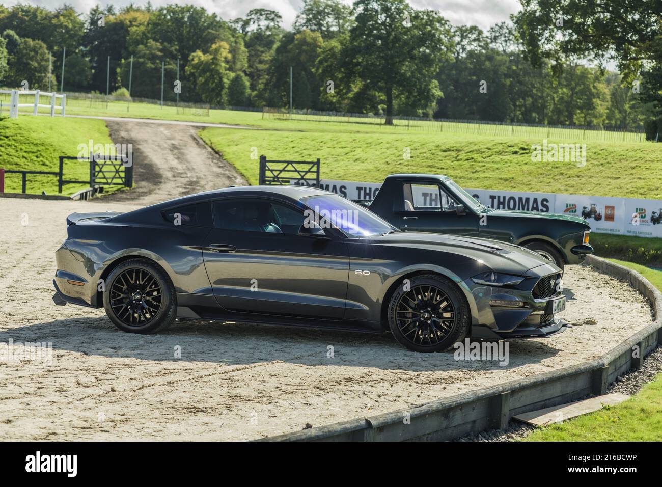 Chester, Cheshire, Angleterre, 29 septembre 2023. Ford Mustang GT grise à Bolesworth Castle Display, illustration éditoriale du commerce automobile. Banque D'Images