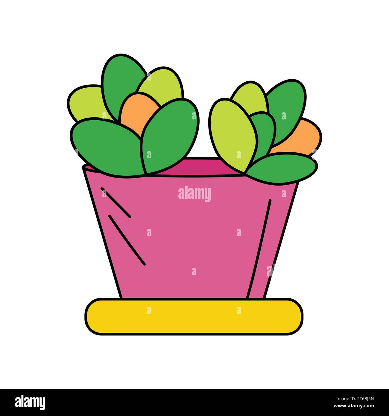 Echeveria cactus en jardinière rose avec bac de récupération jaune Illustration de Vecteur