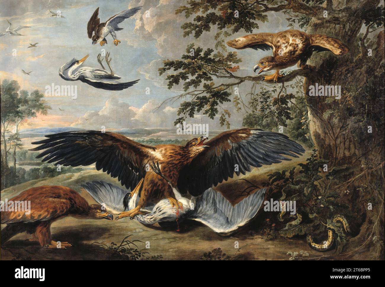 Combat entre aigles, milieu du 17e siècle. Banque D'Images