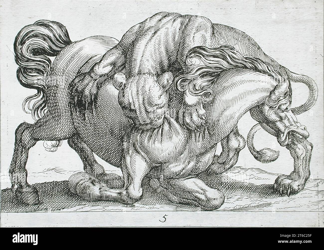 Un Lion attaquant un cheval, 1610. De Fightling Animals, pl. 5. Banque D'Images