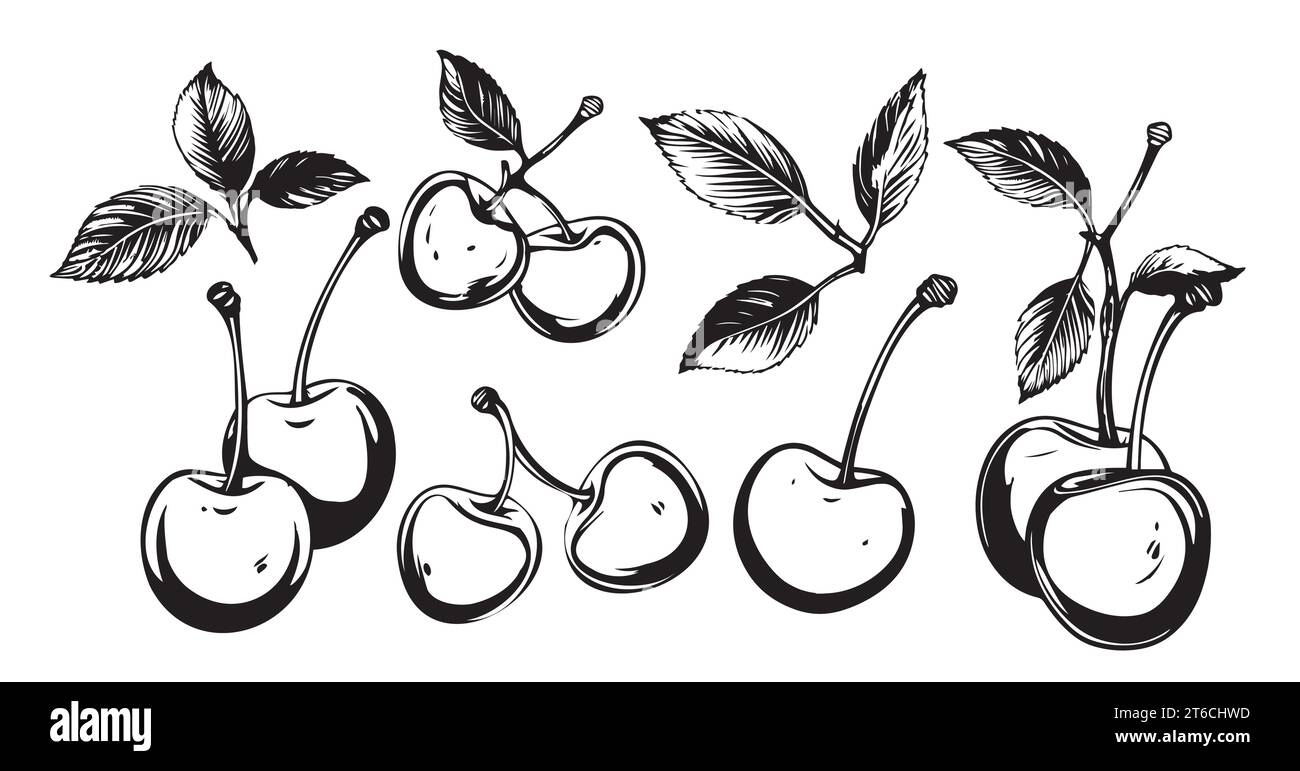Vecteur ensemble de baies, une cerise, quelques cheries, un bouquet. Une collection dans divers dessins, Berry Illustration de Vecteur
