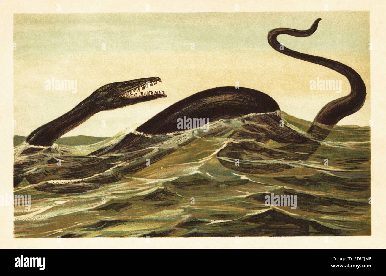 Mosasaurus hoffmannii. Mosasaure, genre éteint de reptiles squamates aquatiques, stades Campanien et Maastrichtien du Crétacé supérieur. Mosasaurus Conybeare. Illustration imprimée en couleur par F. John de Wilhelm Bolsches Tiere der Urwelt (animaux du monde préhistorique), Reichardt Cocoa Company, Hambourg, 1908. Banque D'Images