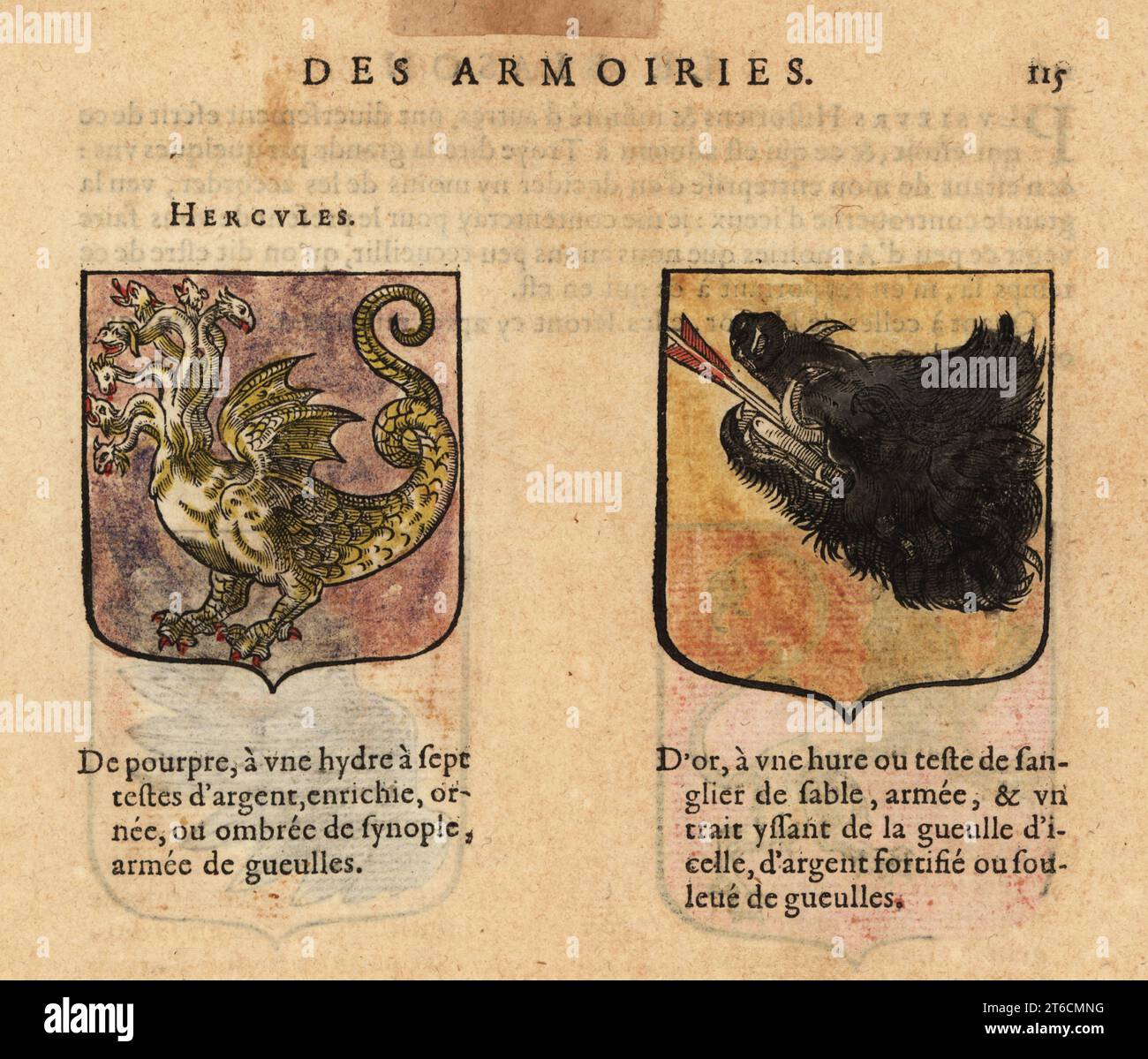 Le blason des armoiries chimère Banque de photographies et d’images à ...