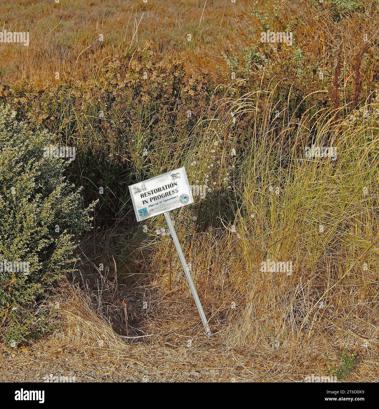 Panneau de restauration en cours dans la réserve Palo Alto Baylands, le long de la baie de San Francisco, en Californie Banque D'Images