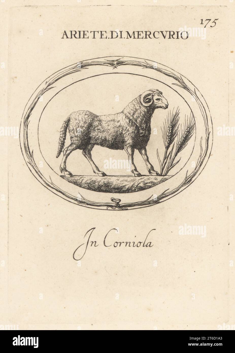 RAM du dieu romain Mercure avec des oreilles de blé. En carnélien. Ariete di Mercurio. À corniola. Gravure de coperplate par Giovanni Battista Galestuzzi d'après Leonardo Agostini de gemmae et Sculpturae Antiquae Depitti ab Leonardo Augustino Senesi, Abraham Blooteling, Amsterdam, 1685. Banque D'Images