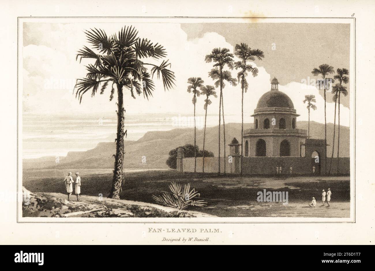 Palmier doub ou palmier palmyre, Borassus flabellifer, près d'un temple ou d'une mosquée en Inde. Aquatinte dessinée et gravée par William Daniell d'après William Woods Zoography, Cadell et Davies, 1807. Banque D'Images