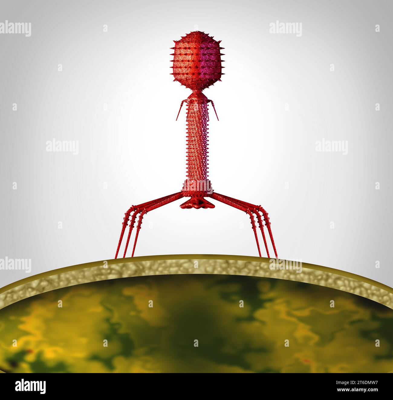 Phage concept et bactériophage virus pathogène comme un virus avec l'acide nucléique infectant les bactéries comme un symbole de virologie comme un pathogène qui attaque Banque D'Images