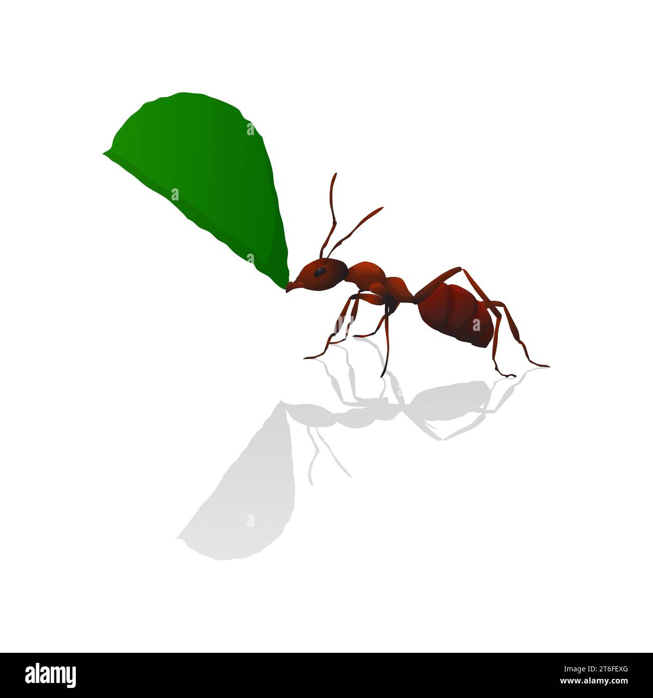 Fourmi brune tenant une feuille verte, illustration vectorielle isolée Banque D'Images