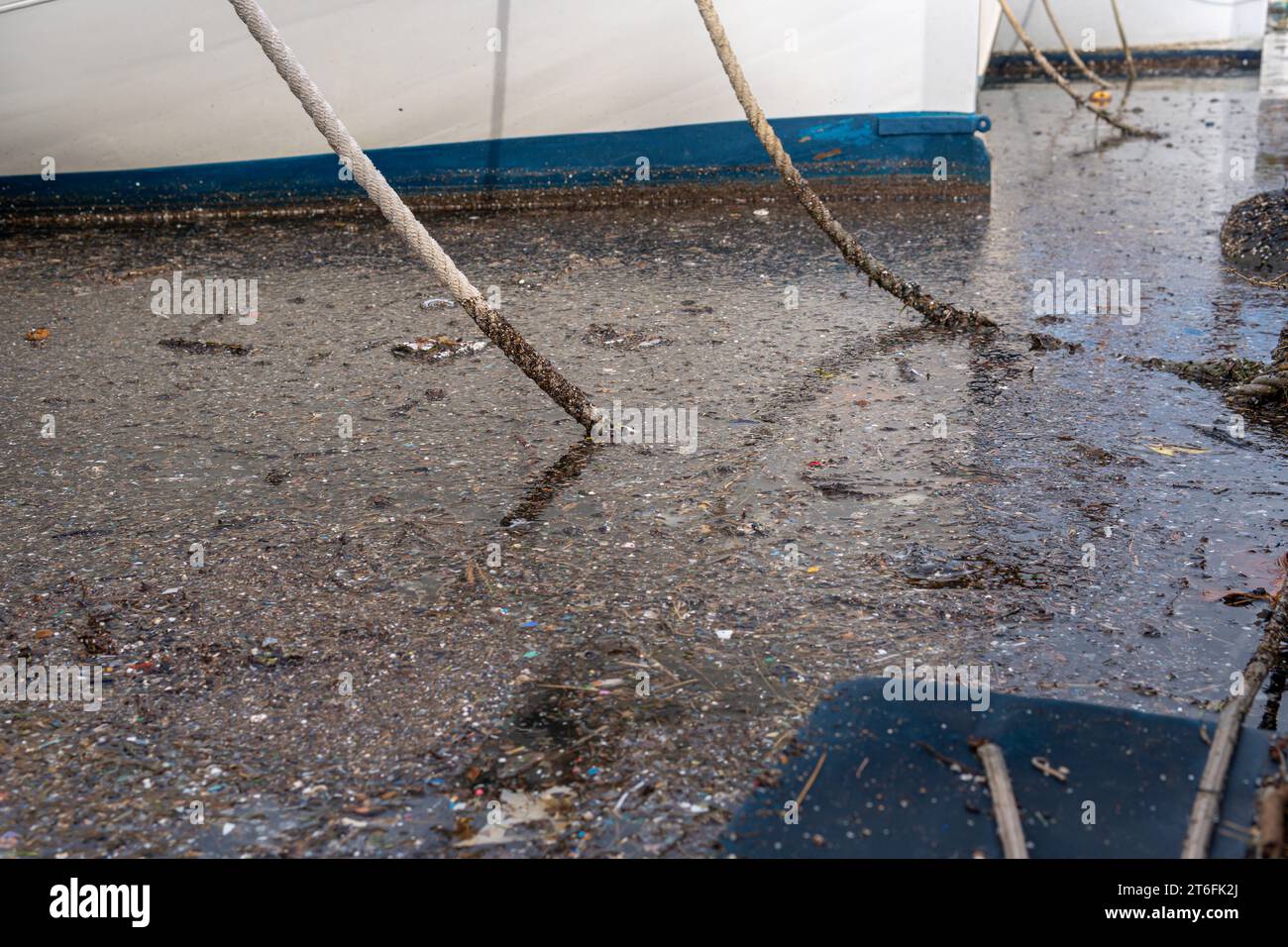 Gros plan du reflet de la mer dans un port avec des morceaux de plastique et des algues. Image conceptuelle de la pollution marine Banque D'Images