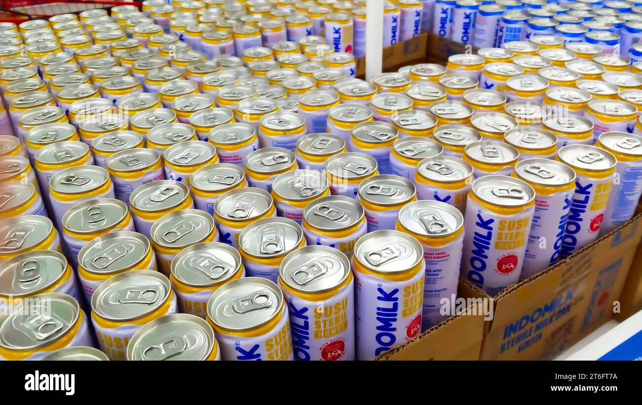 Jakarta, Indonésie- novembre 09 2023 : lait stérile en boîtes avec différents types de saveurs supplémentaires. Banque D'Images