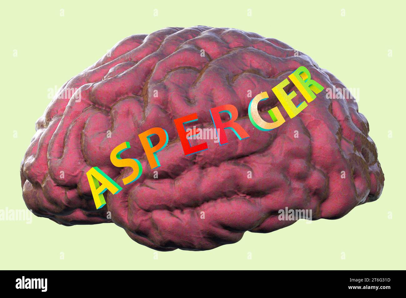 Une illustration conceptuelle en 3D mettant en vedette le texte syndrome d'Asperger sur le modèle anatomique d'un cerveau humain, mettant en évidence la base neurologique du Banque D'Images
