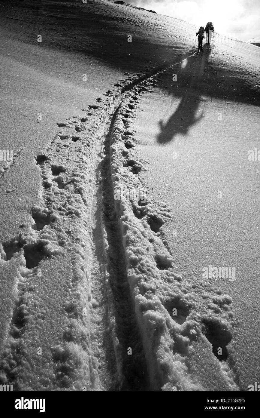 Vue à faible angle des pistes faites par les skieurs de fond. Banque D'Images